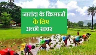 Bihar Agriculture News,apply for diesel grant,डीजल अनुदान,नालंदा में किसान,कैसे करें आवेदन,ऑनलाइन आवेदन कैसे करें,डीजल अनुदान,कितना मिलेगा डीजल अनुदान,एक एकड़ में कितना अनुदान,नालंदा के डीएम,नालंदा के जिला कृषि पदाधिकारी,नालंदा समाचार,बिहार समाचार,किसानों की खबर,हिंद किसान,nalanda news,bihar news,agriculture news,farmer,dao,diesel anudan,kitna milta hai diesel anudan,apply for diesel anudan