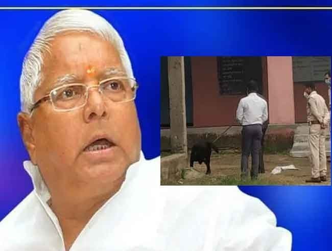 LALU SECURITY GAURD आरजेडी सुप्रीमो लालू प्रसाद यादव और उनके परिवार की मुश्किलें एक बार फिर बढ़ सकती है। क्योंकि, सीबीआई ने बड़ी कार्रवाई की है । सीबीआई ने लालू प्रसाद यादव के सबसे करीबी शख्स को दिल्ली से गिरफ्तार किया है । ये गिरफ्तारी रेलवे भर्ती घोटाले में हुई है ।